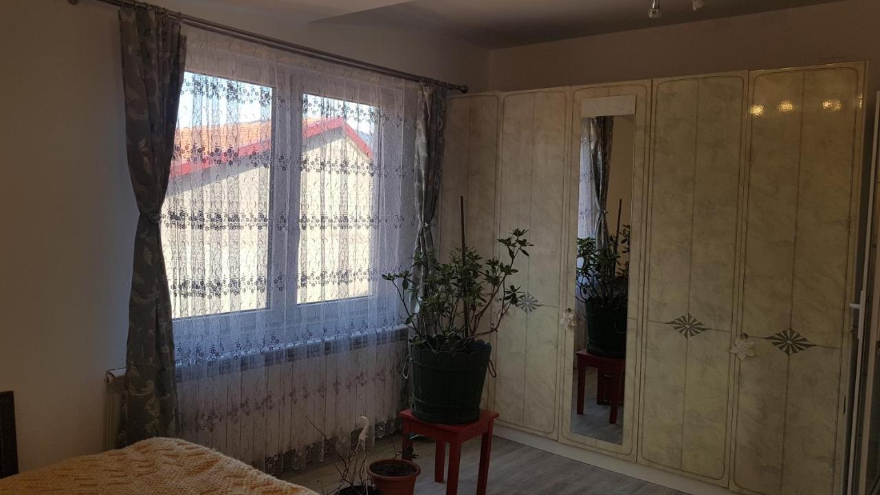 Отель Casa Cojanu Петрошани Экстерьер фото