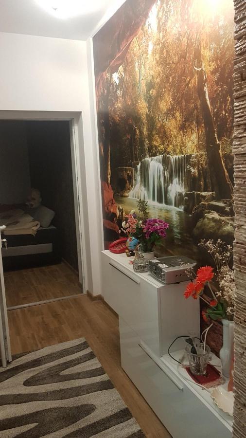 Отель Casa Cojanu Петрошани Экстерьер фото